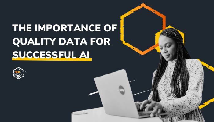 The Importance of Quality Data for Successful AI