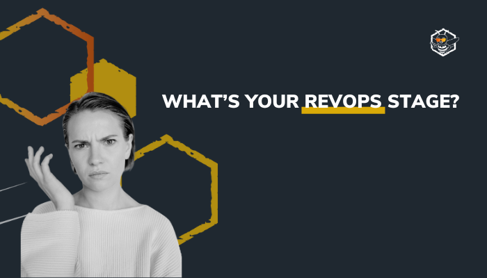 From Tactical Chaos to Strategic RevOps: Which Stage Are You In?